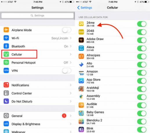 Cara Melacak Penggunaan Data untuk Aplikasi iOS Individual CellDataiOS1 562x500