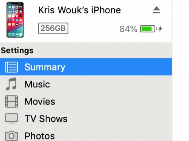 Tab Summary di iTunes