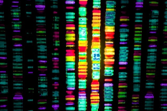 dna-sequence