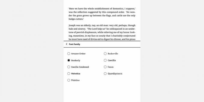 Tangkapan layar menu Keluarga Font Amazon Kindle