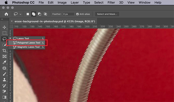 Gunakan Alat Lasso Poligonal untuk Menyesuaikan Pilihan Anda