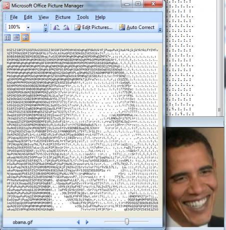 seni ascii