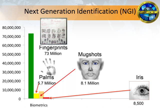 ngi-content