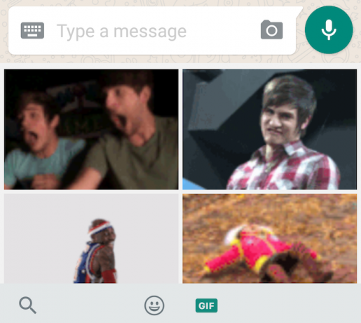 Fitur WhatsApp baru: pencarian GIF