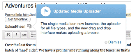 Apa yang Baru di WordPress 3.3? tombol unggah tunggal