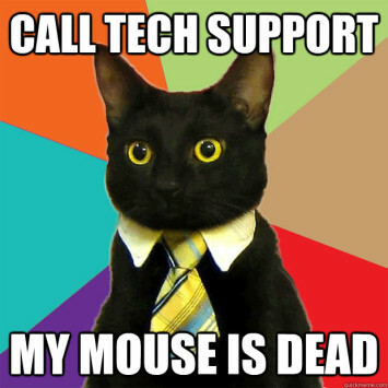 Dukungan Business Cat Meme Tech