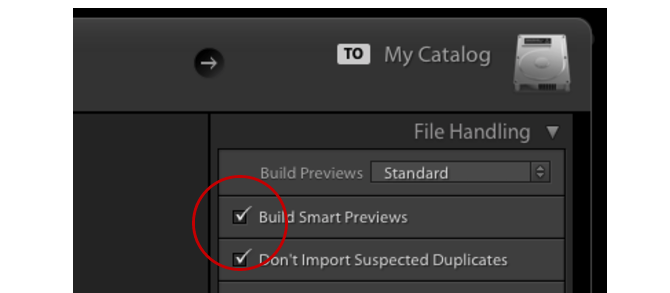 pratinjau cerdas lightroom