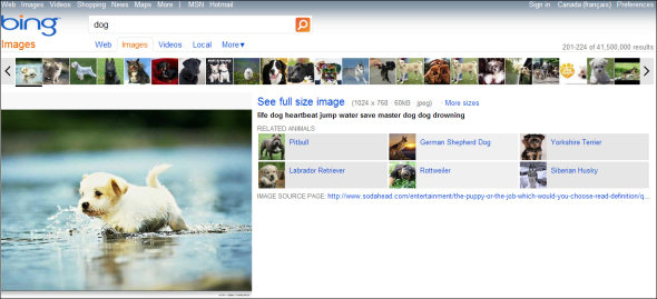 bing vs google image