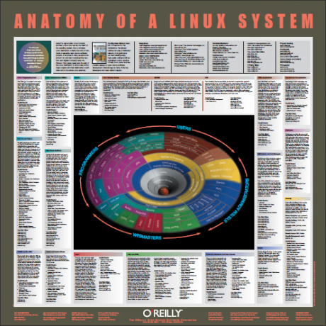 14 Aplikasi Cheat Sheet & Poster untuk anatomi Program Populer