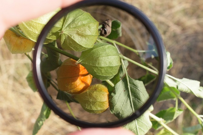 tips fotografi - lensa polarizer