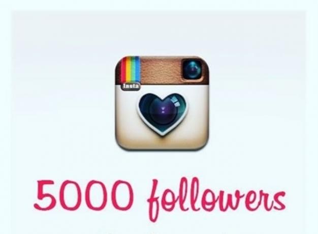 5000 pengikut di instagram