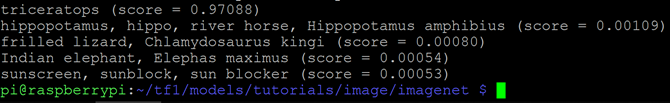 Output Klasifikasi Dinosaurus TensorFlow