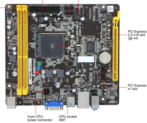 port matx pcie ditampilkan newegg