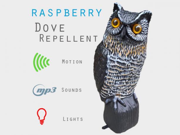 raspberry-pi-dove-repellent-aneh